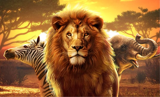Safari Wilds thumbnail