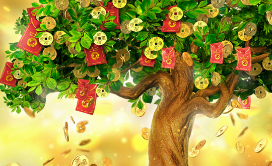 Tree Of Fortune thumbnail